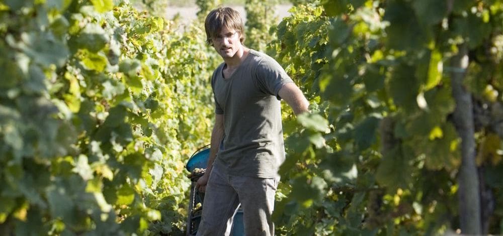 Urlaub auf dem Bio-Weingut