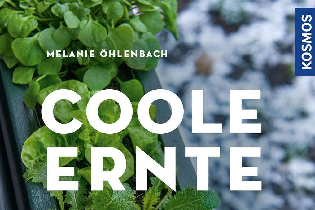 Ernten im Winter