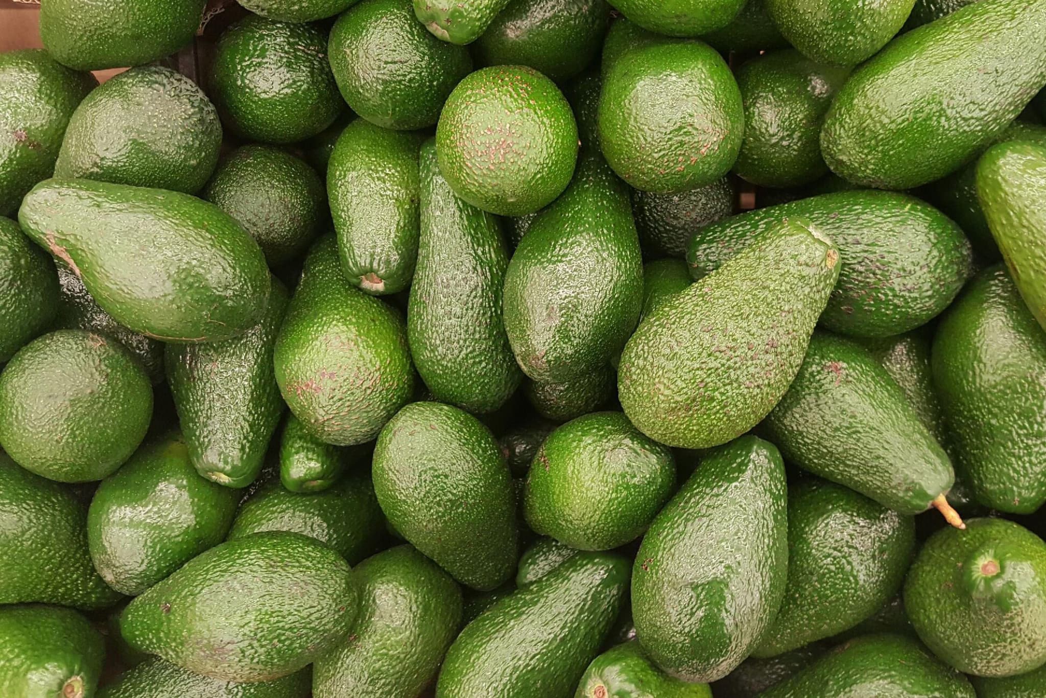 Schutzfilm aus der Natur