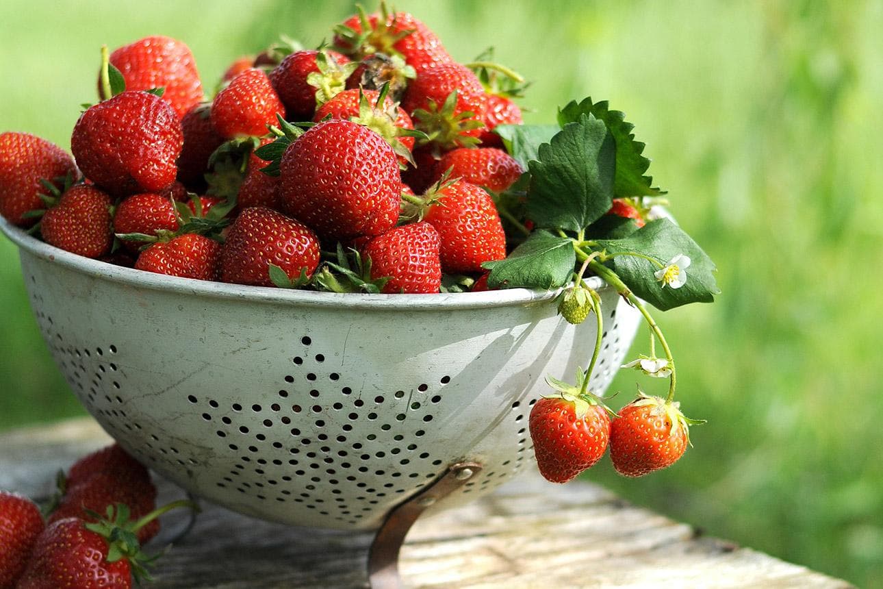 Erdbeeren! Endlich!