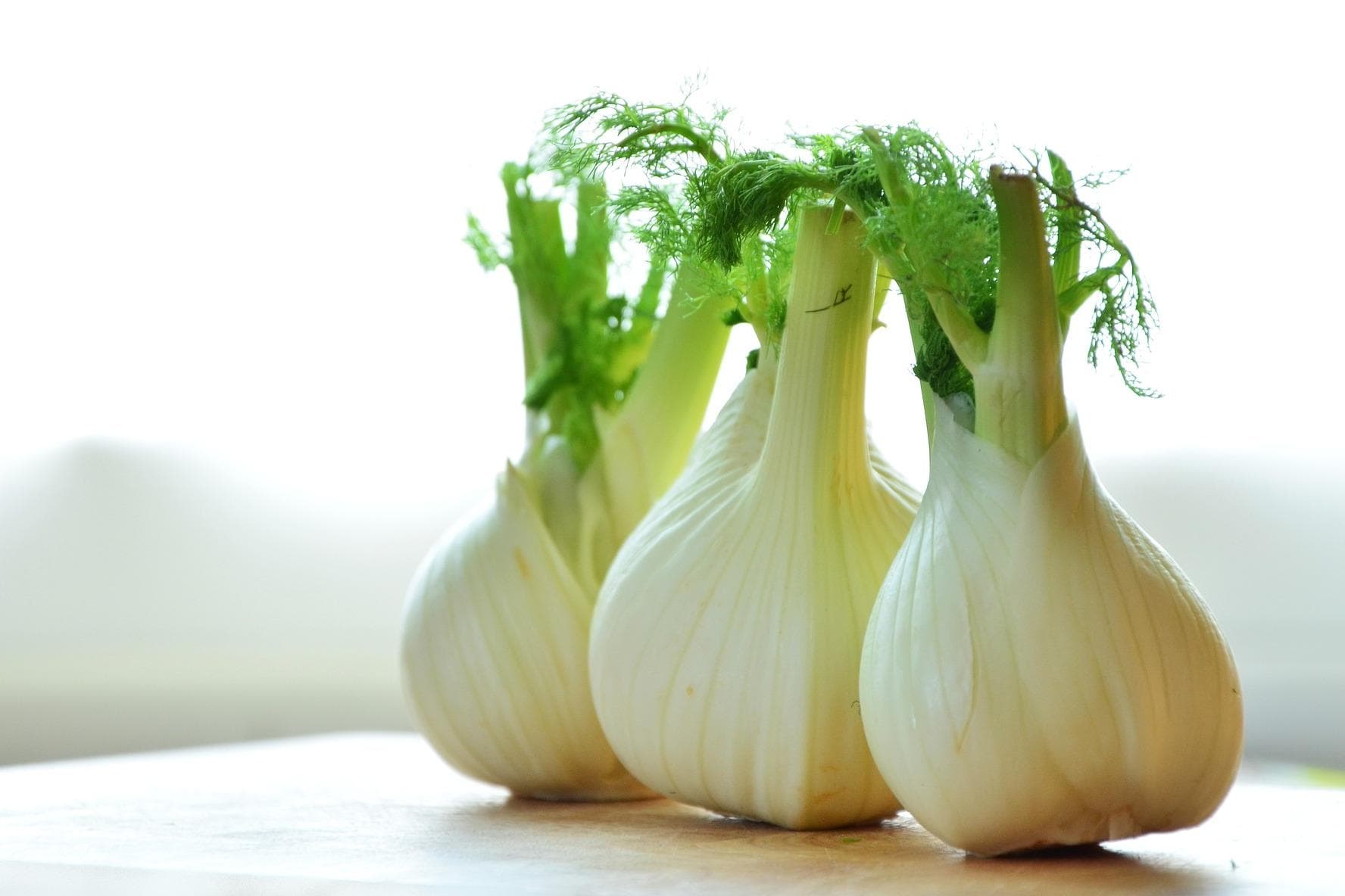 Fenchel x Drei