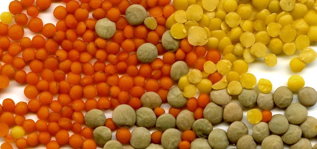 Linsen: Gesunde Kraftpakete