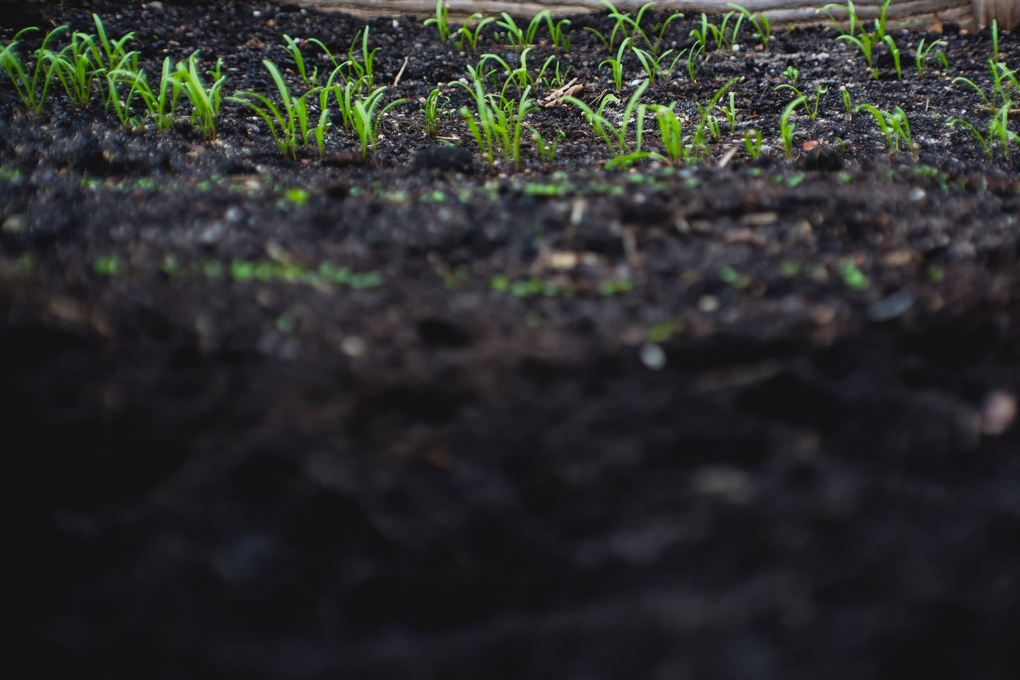 Ackern für die Landwirtschaft der Zukunft