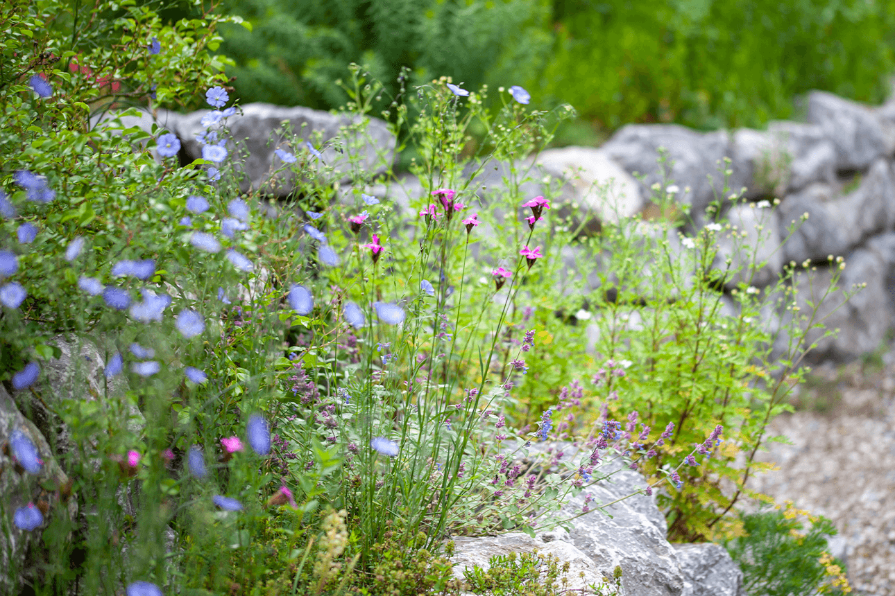 Inspiration Naturgarten