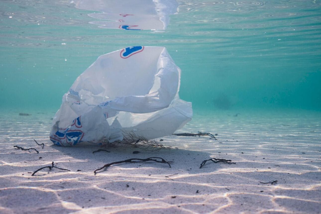 Film: The North Drift – Plastik in Strömen