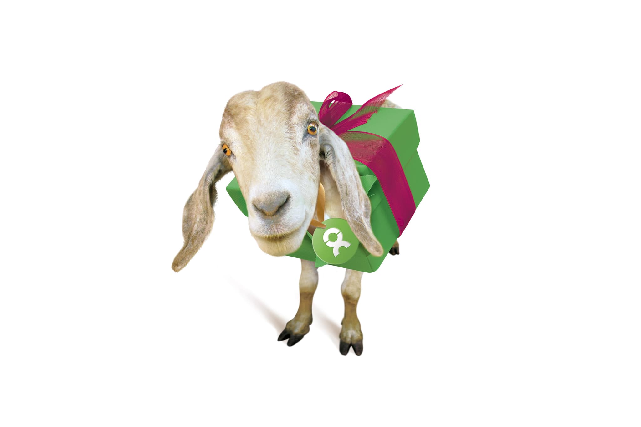 Last-Minute-Geschenk: Gutes tun statt Konsum
