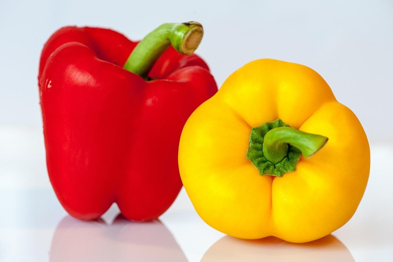 Paprika: Farbenfroh und knackig