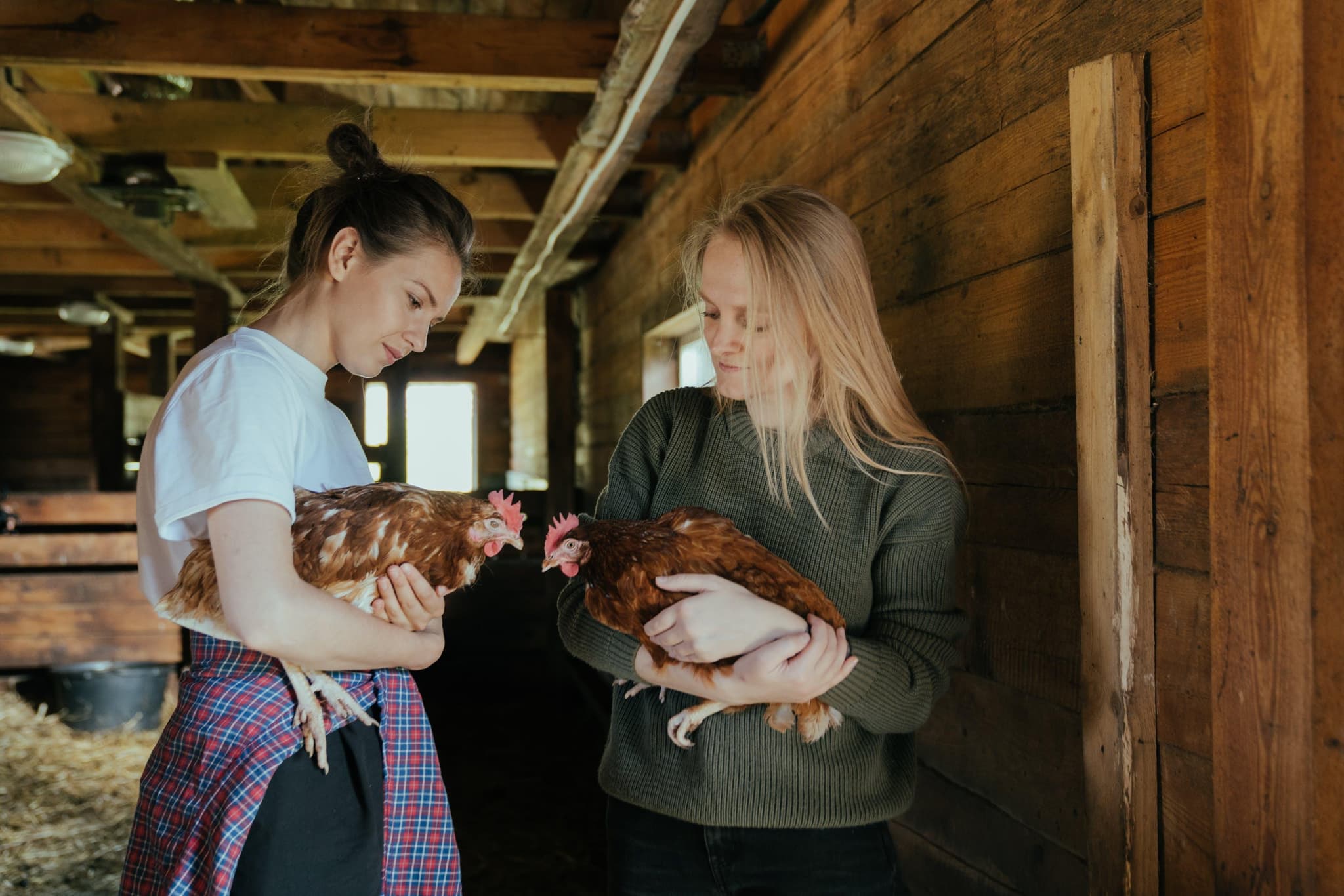 Starke Frauen in der Öko-Landwirtschaft