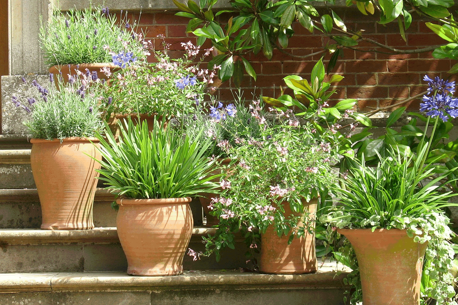Blumenerde ohne Torf