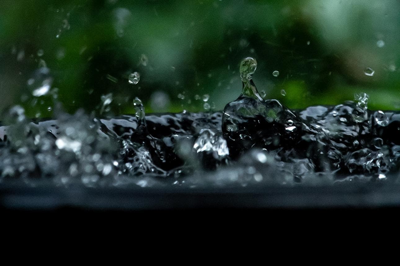 Regenwasser nachhaltig nutzen