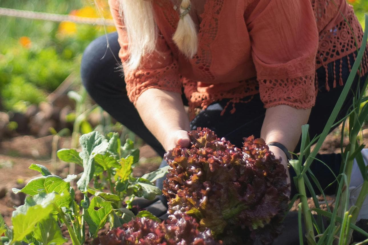 Ab ins Beet