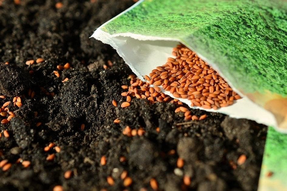 Gärtnern: Auf die Erde kommt es an