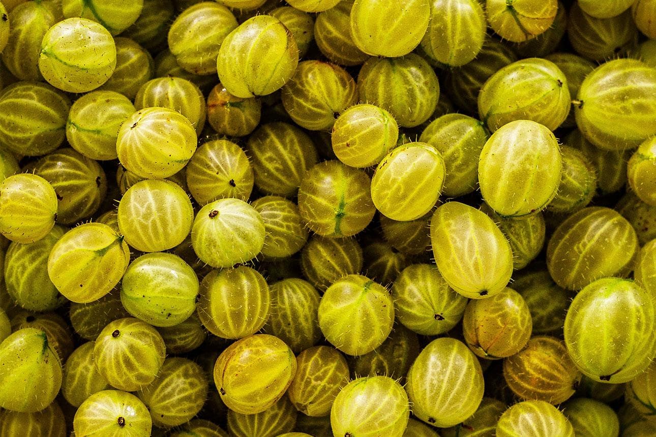 Süße Stachelbeere