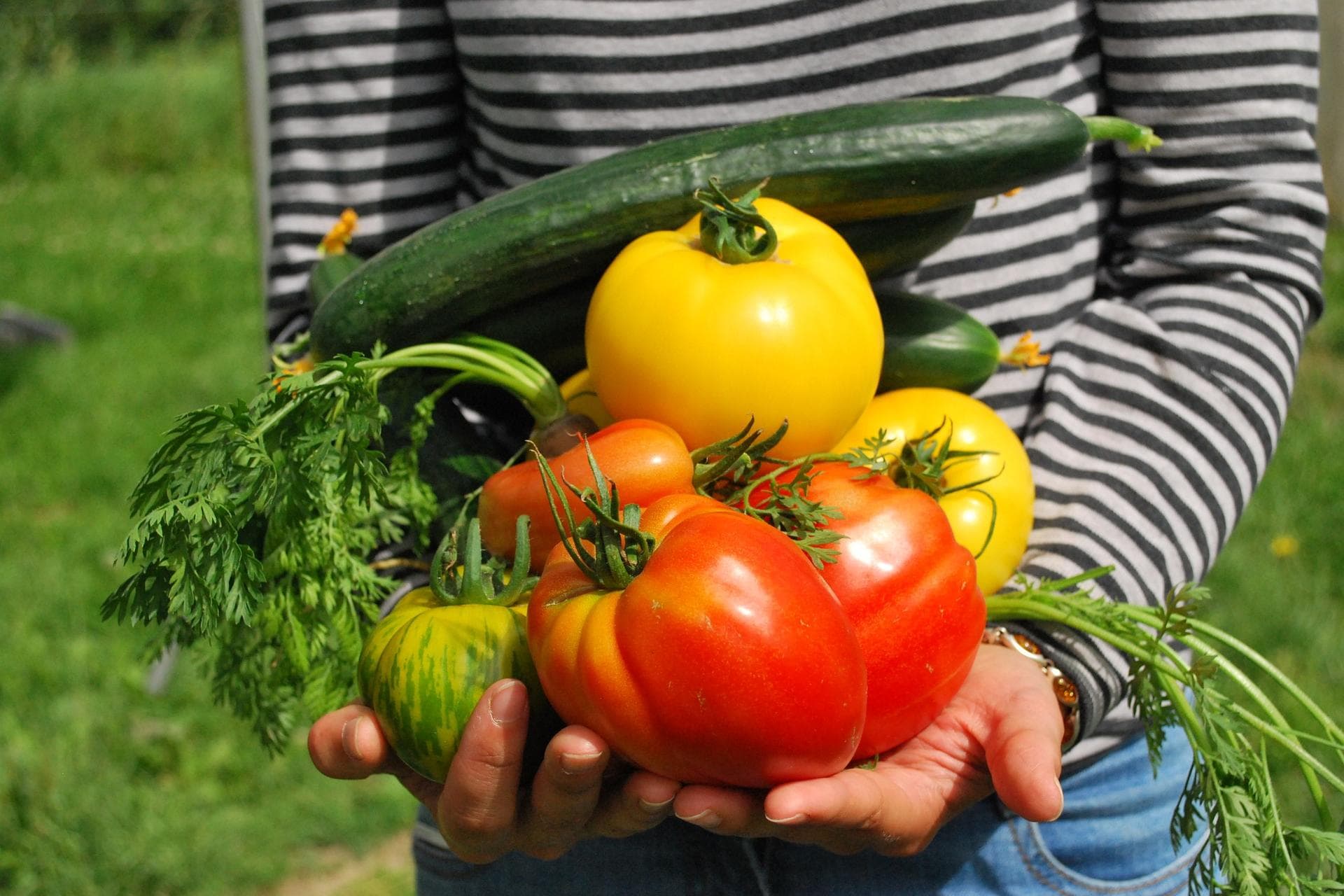 Tipps für den Bio-Gärtner: Demeter Gartenrundbrief