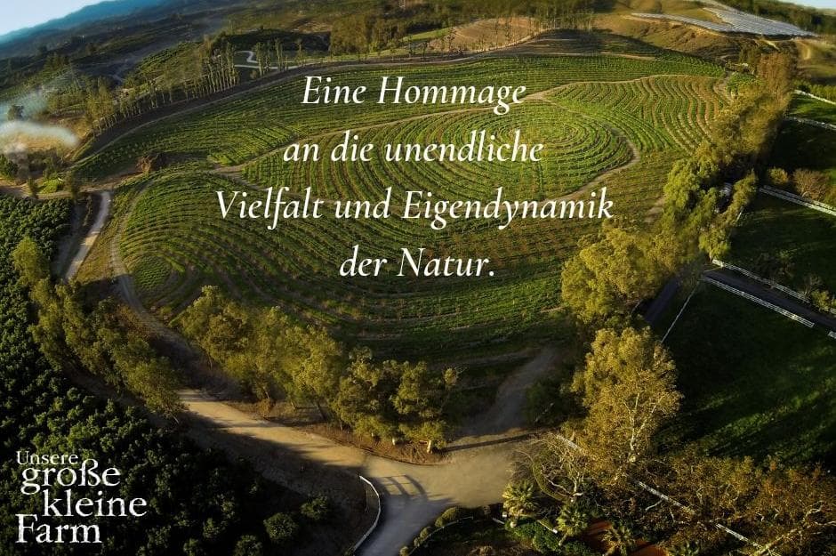Kinotipp: Unsere große kleine Farm