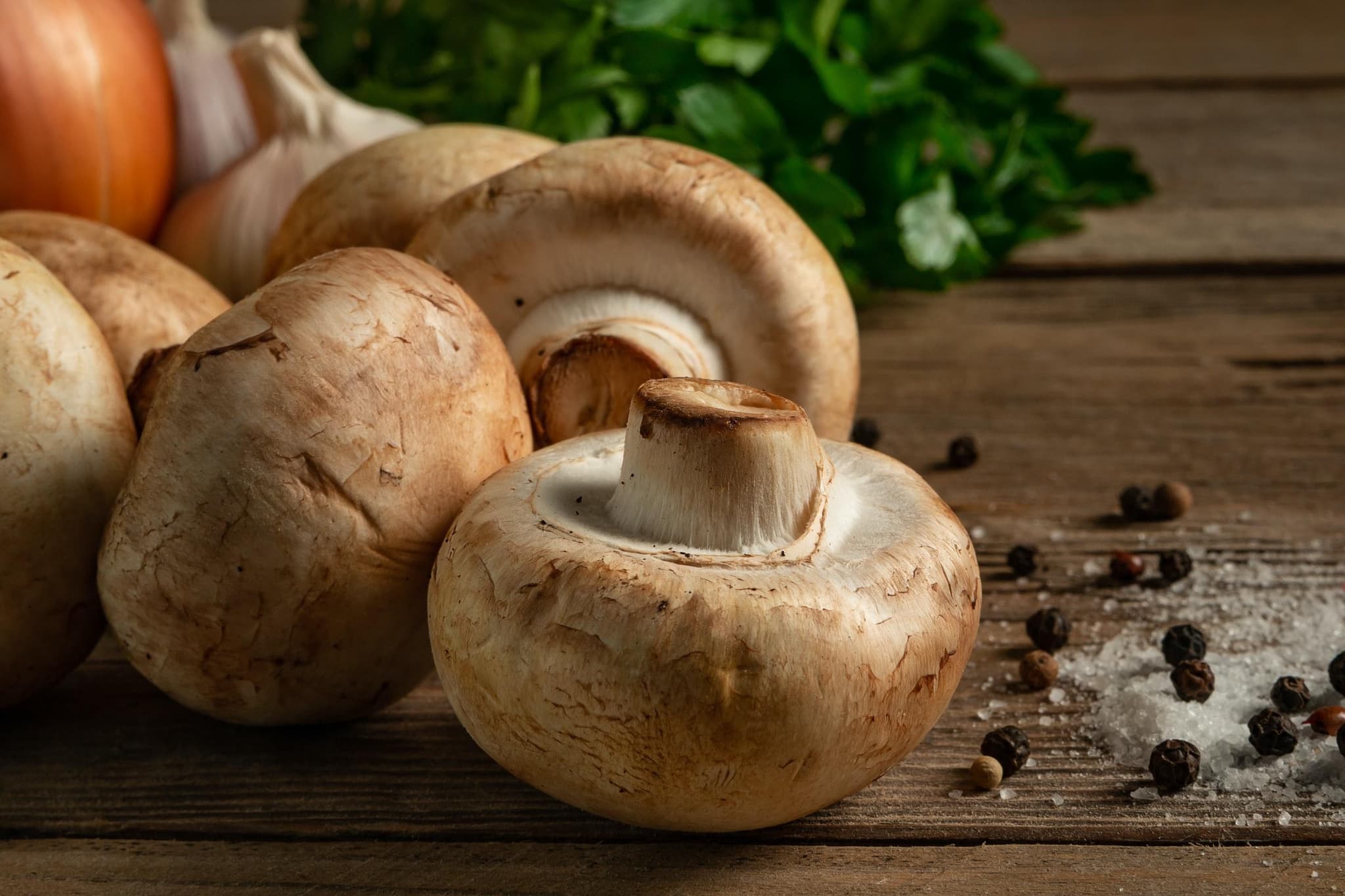 Pilze haben immer Saison