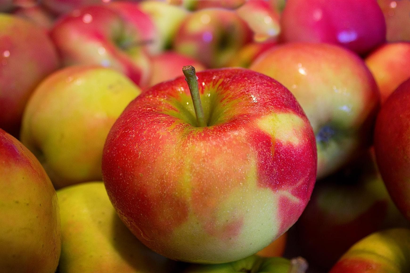 Äpfel: knackig, süß-säuerlich, frisch