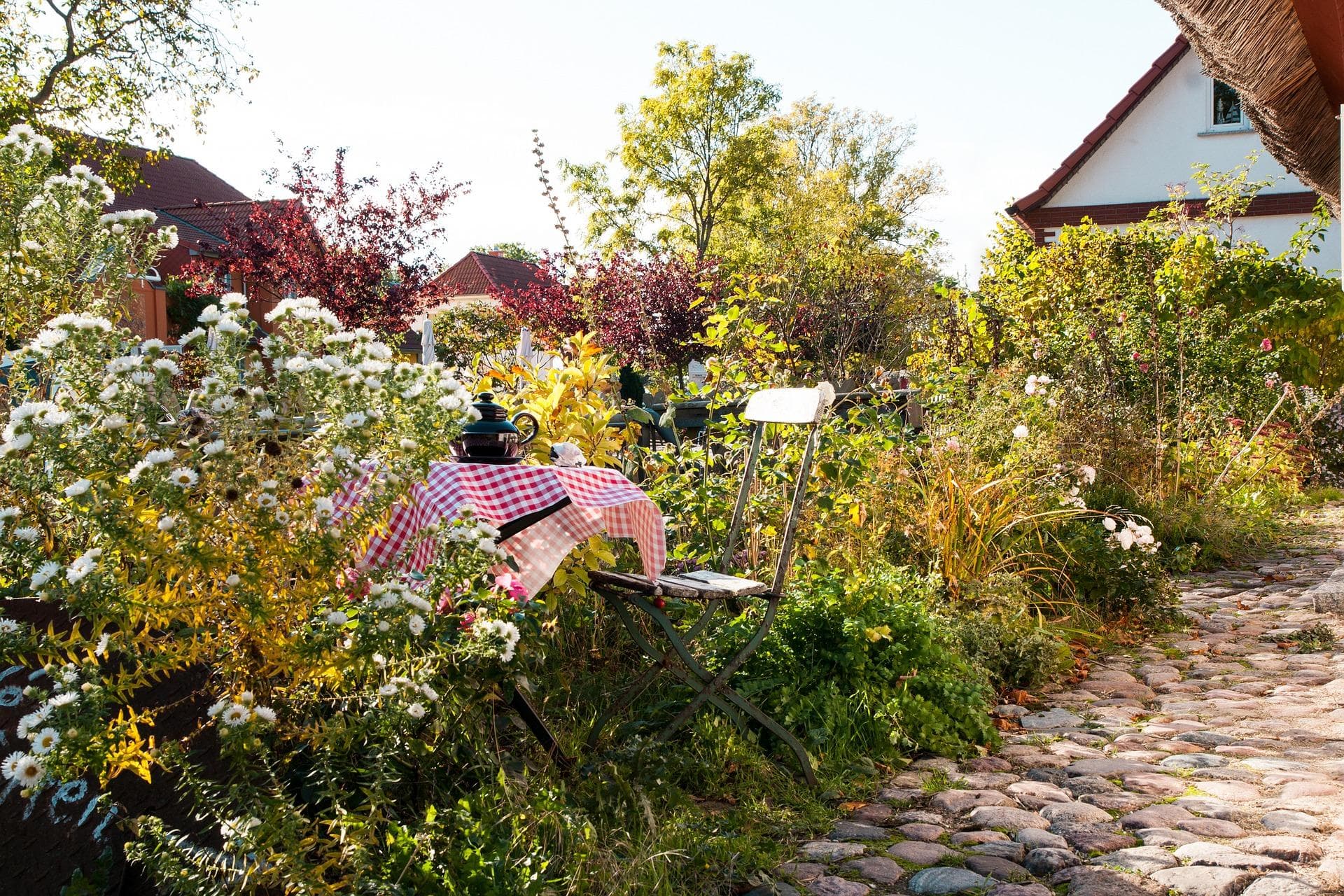 Blick über den Gartenzaun