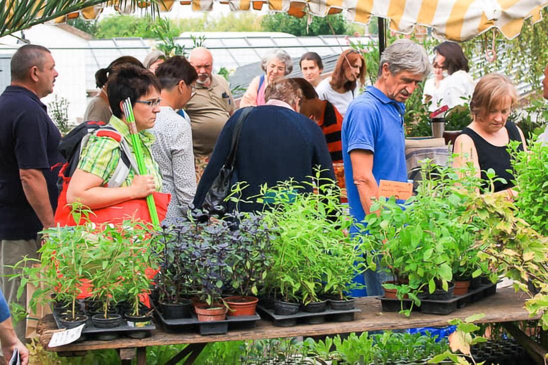 Leben genießen – Bio-Gartenmesse besuchen