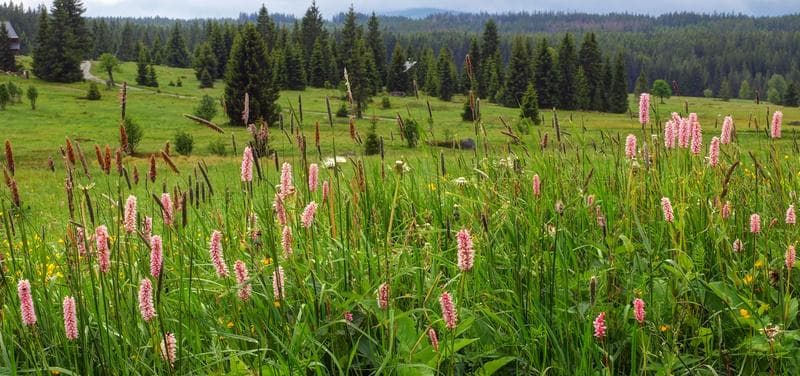 Bio-Bauern braucht das Land