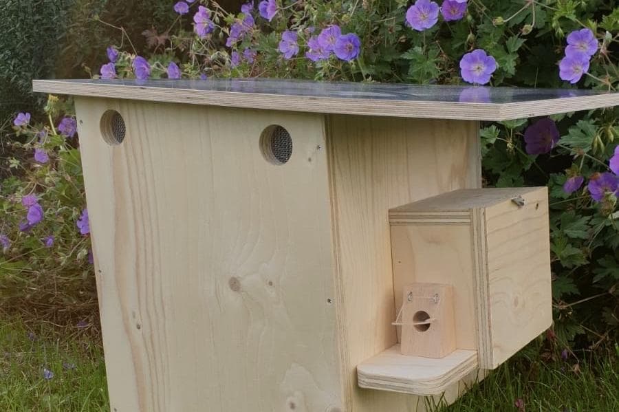 Insektenhotels zu gewinnen