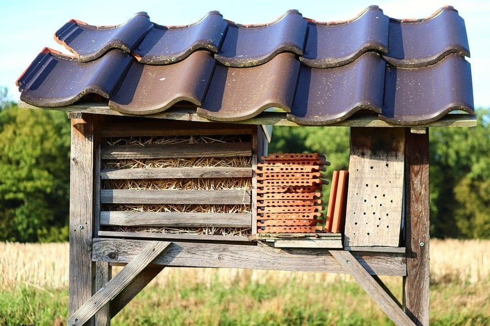 Gegen Corona-Langeweile: Insektenhotel bauen