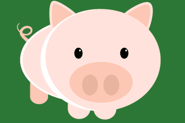 Unsere bio123 Trüffelschwein - Aktion geht an den Start!