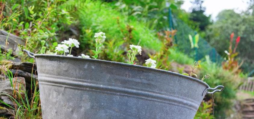 Gärtnern: Es werde bunt und vielfältig