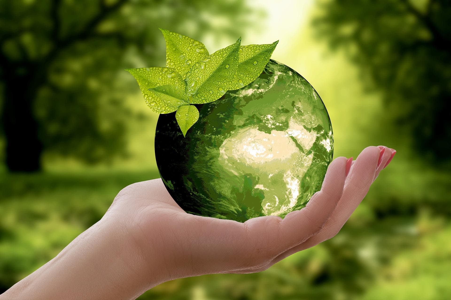 Heute ist Earth Day: Zusammen gegen Plastikverschmutzung