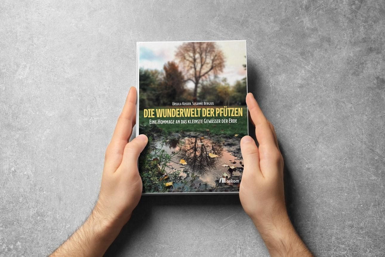 Buchtipp: Die Wunderwelt der Pfützen
