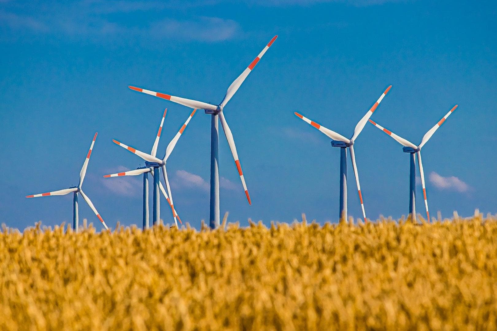 Windräder mit Vogelschutz