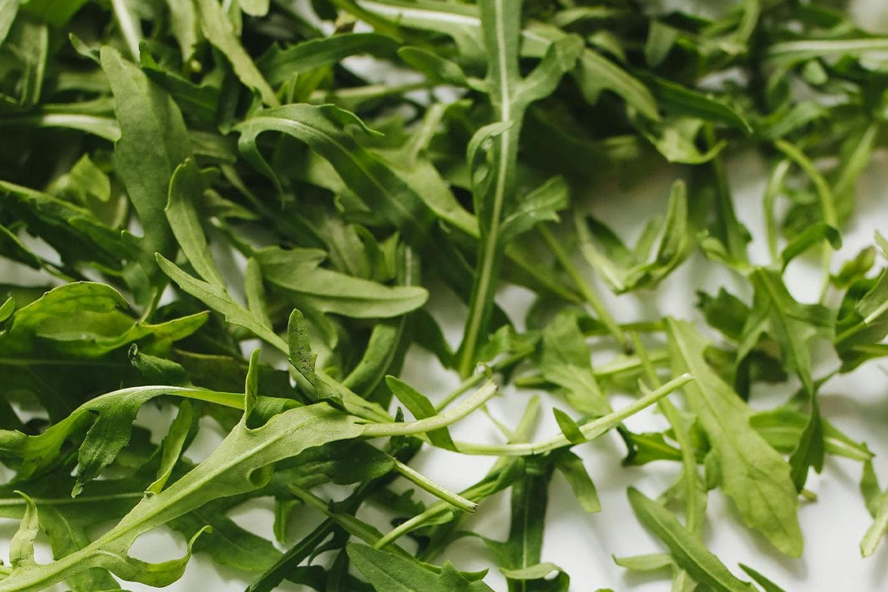 Rucola: Scharfmacher mit Biss