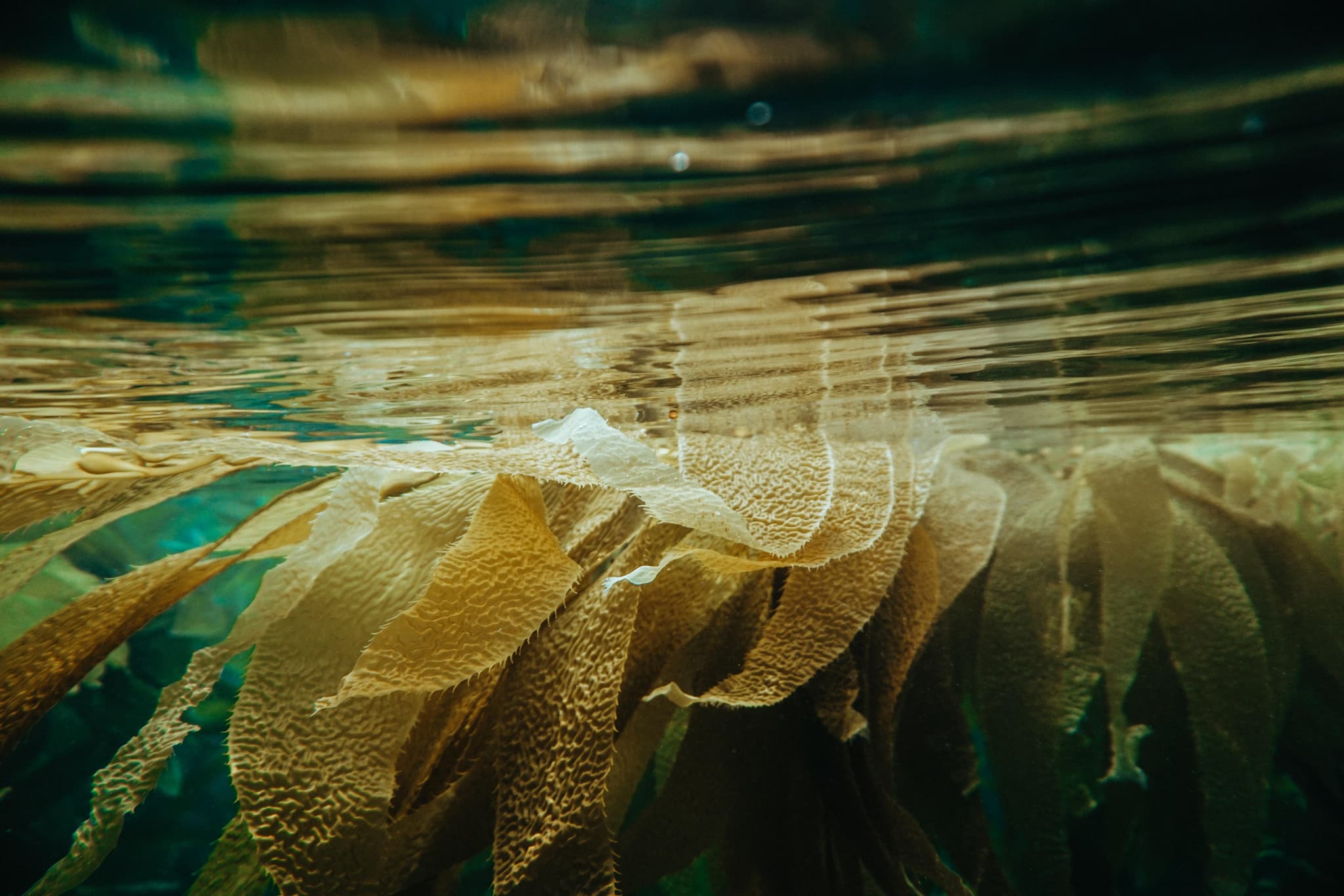 Kleidung aus dem Wasser