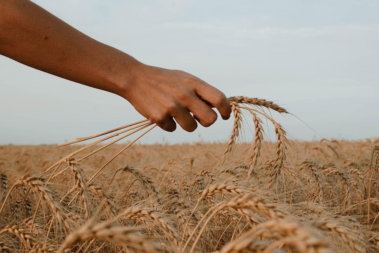 Bioanbau hilft sparen