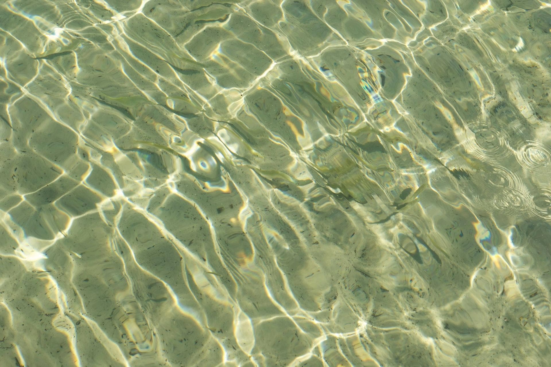 Schwarzbuch Wasser II