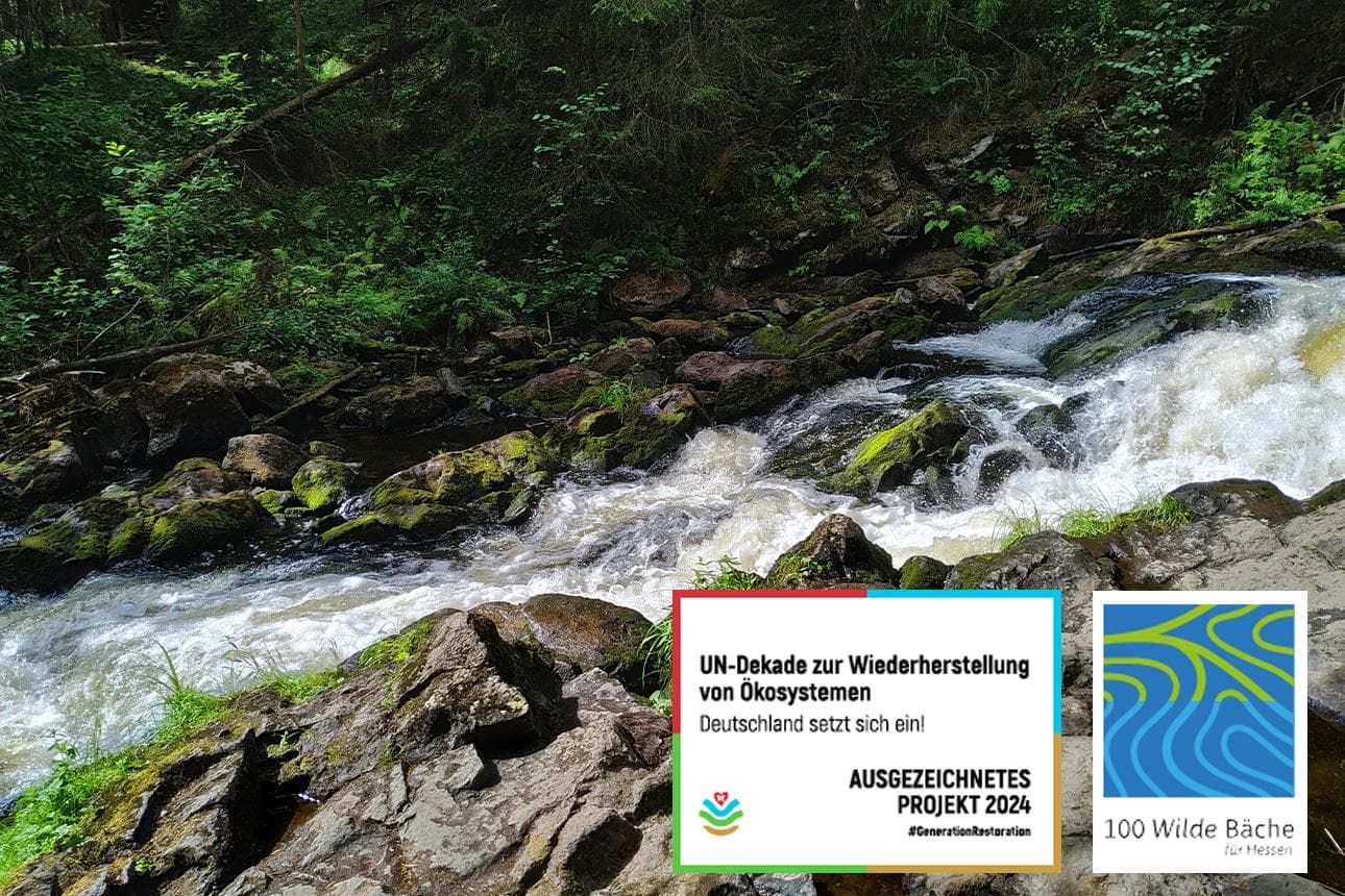 Wilde Bäche für Hessen