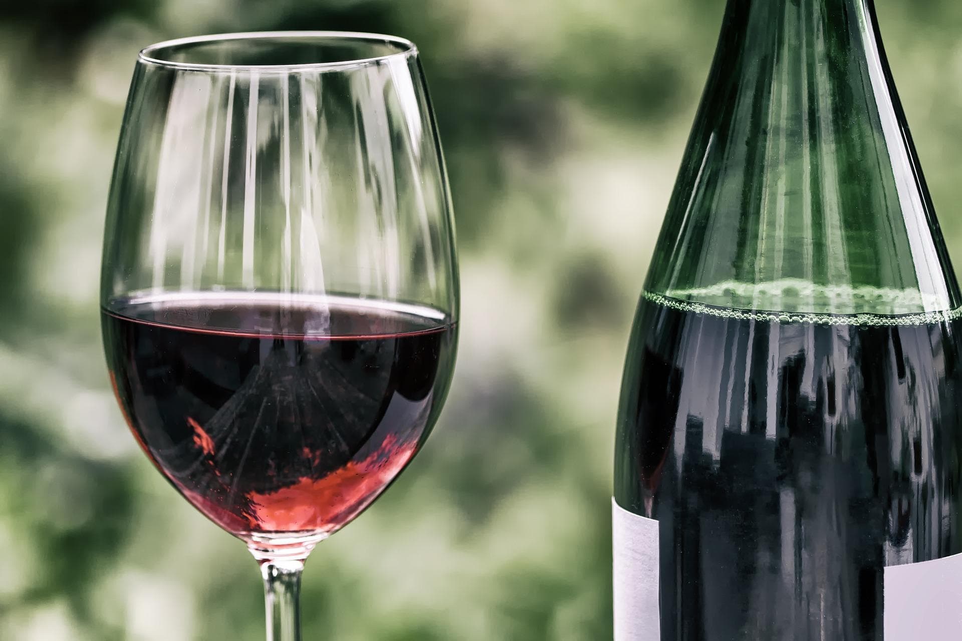 Bestes deutsches Bio-Weingut 2018