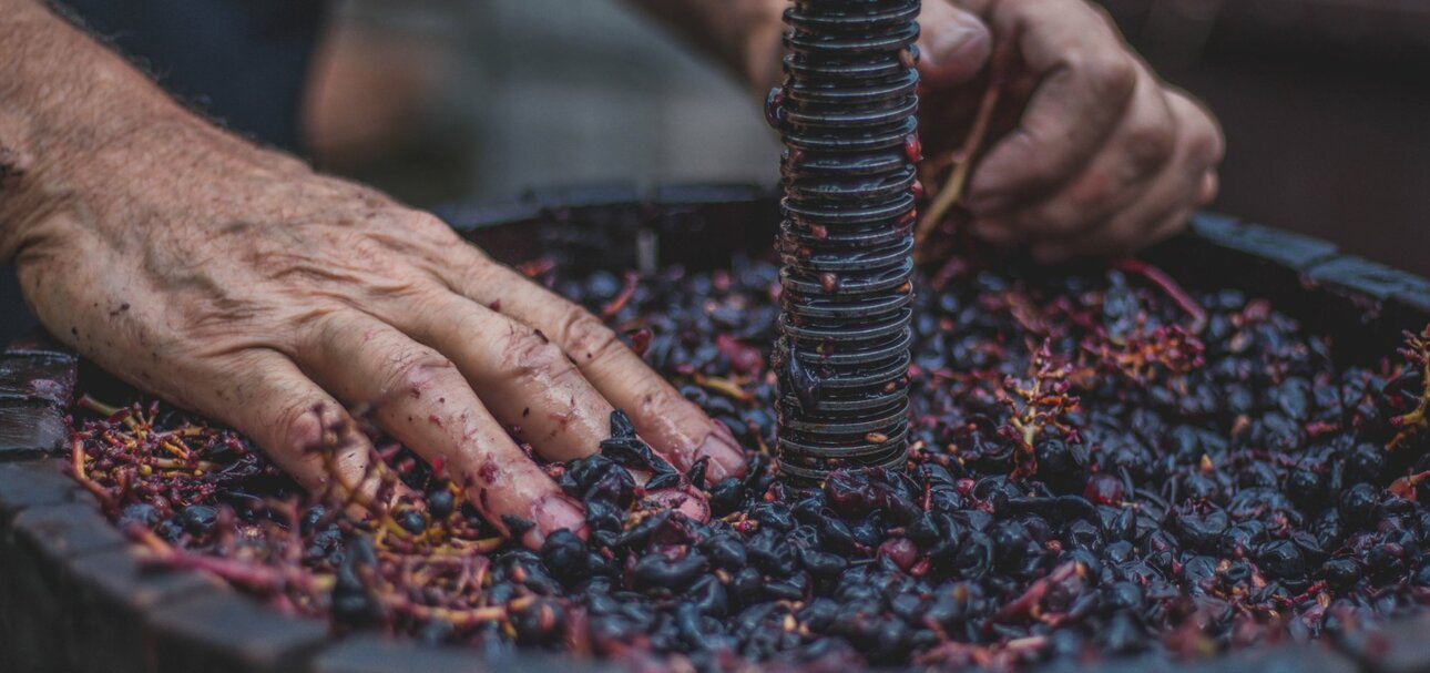 Billiger Wein - teuer erkauft. Die Oxfam-Studie belegt Missstände im südafrikanischen Weinanbau. 