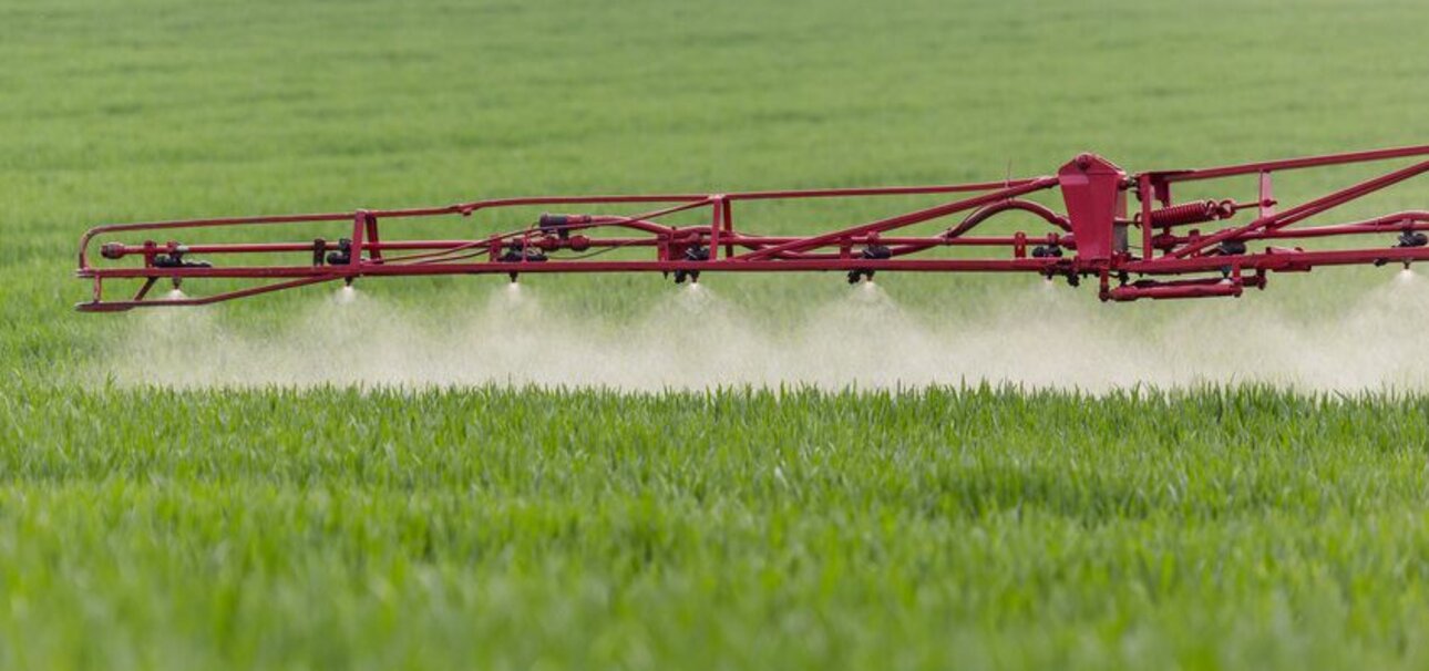 Bei Bauern beliebt, aber gefährlich: Das Pflanzengift Glyphosat