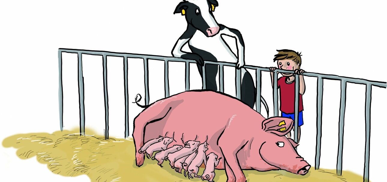 Unter dem Motto „Tierwohl – Eine Frage der Haltung!“ sollen Kinder und Jugendliche herausfinden, wie Nutztiere gehalten werden.