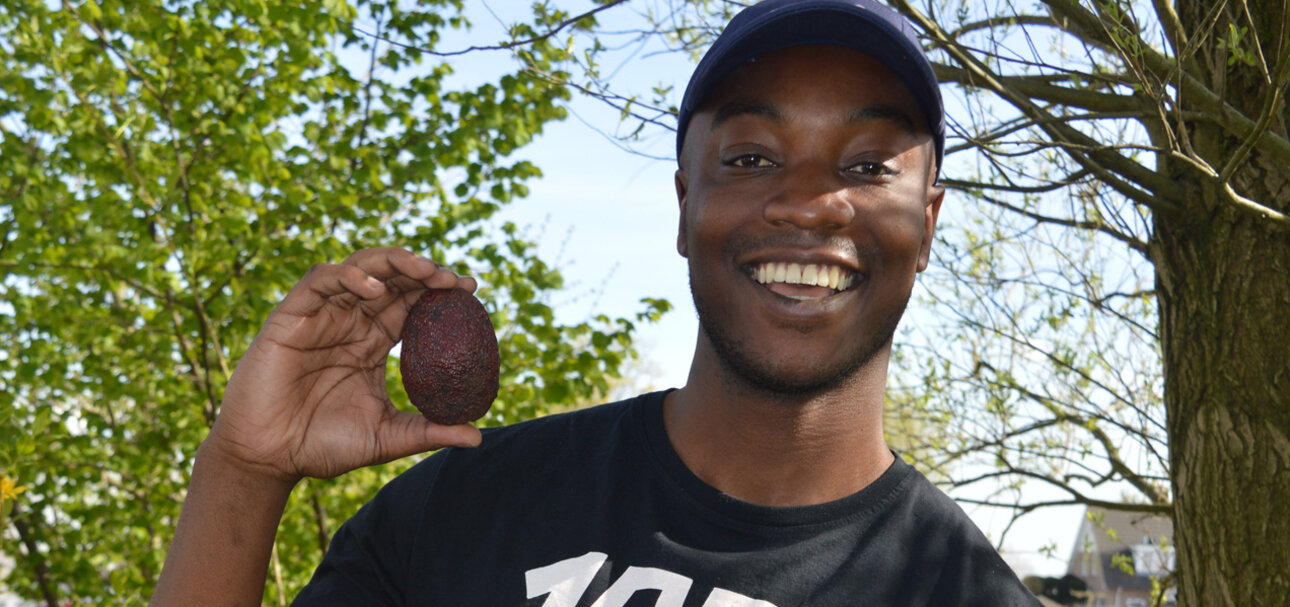 Neville Mchina, Produktmanager für Bio-Avocados bei Eosta, unterstützt die afrikanischen Kleinbauern vor Ort. Foto: Eosta