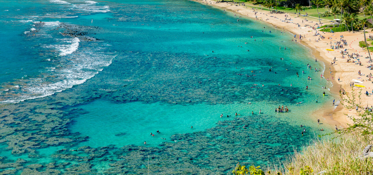 Chemische UV-Filter aus der Sonnencreme sind eine Gefahr für Korallen. Foto/Copyright S.K. Photography - fotolia.de 