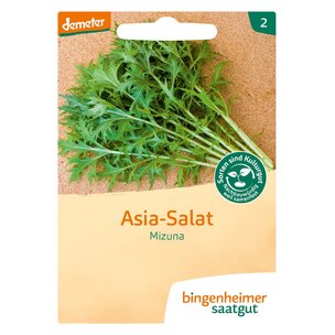 Asia Salat Mizuna