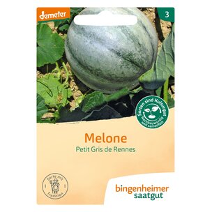 Melone - Petit Gris de Renne