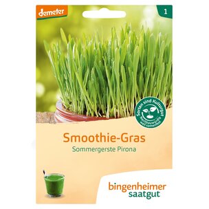 Smoothie-Gras