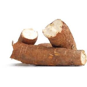 Maniok Cassava frisch Uganda
