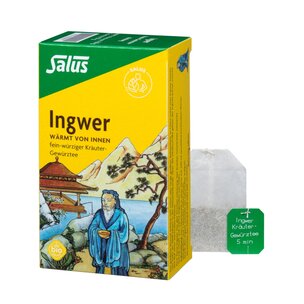 Salus® Ingwer Kräuter-Gewürztee-Mischung bio 15 FB