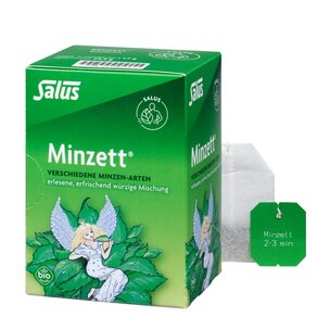 Salus® Minzett® Kräutertee bio 15 FB