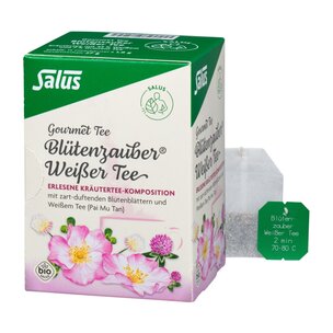 Salus® Gourmet Blütenzauber® Weißer Tee bio 15 FB