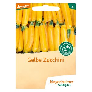 Zucchini Solara